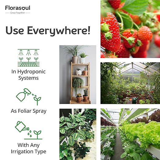 Florasoul® Plant Booster – Organic Vegan Fertilizer for Self-Sufficient Gardeners! All-Purpose, Nutrient-Rich Plant Food for Lush Growth, Vibrant Flowers & Healthy Soil – 100% Natural, Pet-Safe