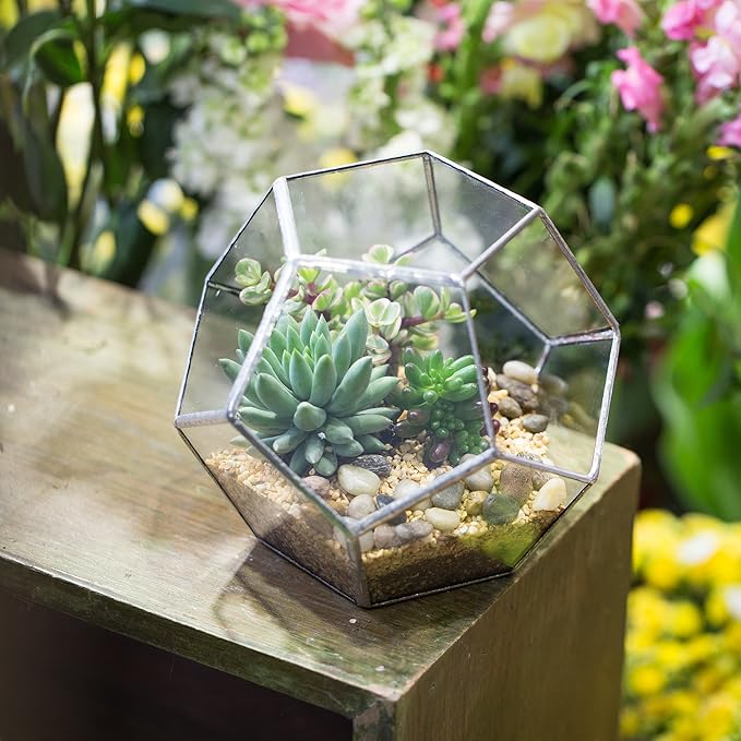 NCYP Small Silver Glass Geometric Terrarium for Succulents Air Plants, 6.89 x 6.89 x 5.9 Inches, Indoor Home Garden Planter Pot, Tabletop Decor Centerpiece, Handmade (Only Terrarium)