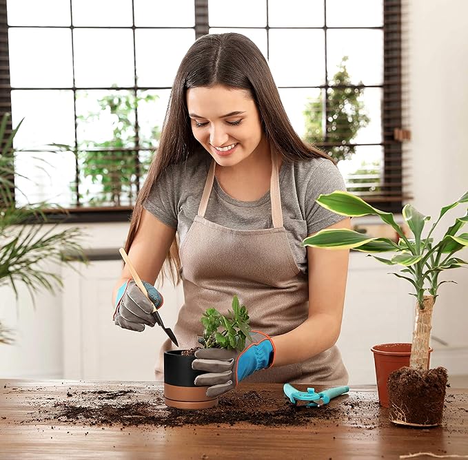 D'vine Dev Set of 2 Plants Pots, 4.6 Inch Ceramic Planter Pot for Plants with Drainage Hole and Saucer, Black/Speckled Tan, 94-V-B-7