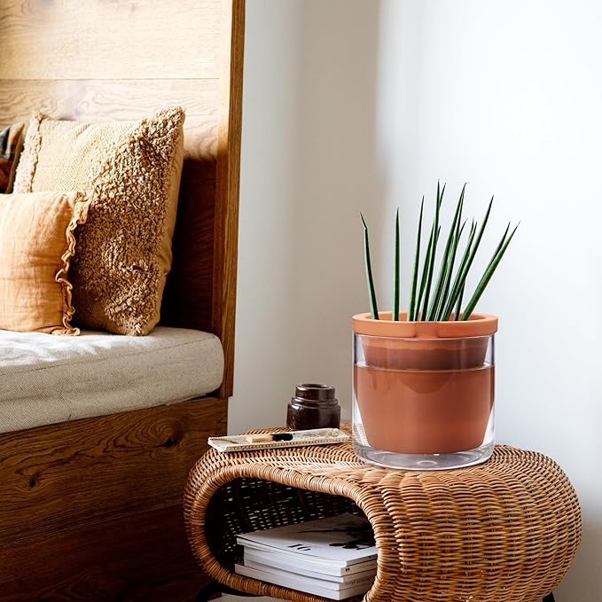 D'vine Dev 8 Inch Design Self Watering Pot for Indoor Plants, Terracotta Planter with Cylinder Glass Cup, Set of 1, 37-X-C-1