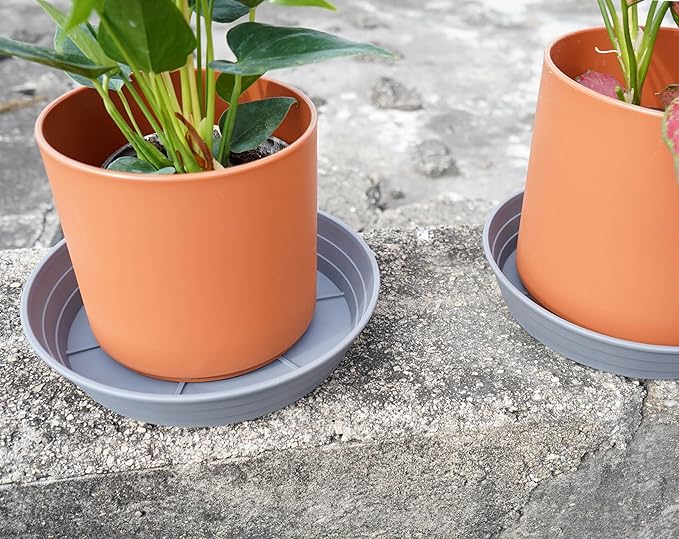 Plant Saucer 14 Inch 4 Pack 6 8 10 12 14 16 18 20 25, Plastic Plant Trays for Pots，Extra-Deep Plant Water Dray Tray, Bird Bath Bowl, Heavy Flower Plant Saucers Indoors and Outdoor No Holes