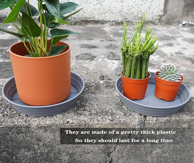 Plant Saucer 6 Inch 4 Pack 6 8 10 12 14 16 18 20 25, Plastic Plant Trays for Pots，Extra-Deep Plant Water Dray Tray, Bird Bath Bowl, Heavy Flower Plant saucers Indoors and Outdoor No Holes 6in-4 grey
