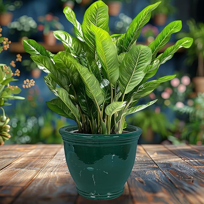 Sunnydaze Studio Large Ceramic Plant Pot - Round Outdoor Glazed Ceramic Planter Pot with Drainage - Dark Green - 15 in