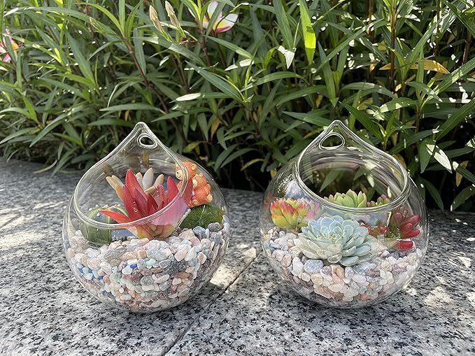 Ivolador Hanging Planter Glass Terrarium Container Air Plant Holder Succulents Globe Shape Home Garden Decor-4.7 Inches-3PCS