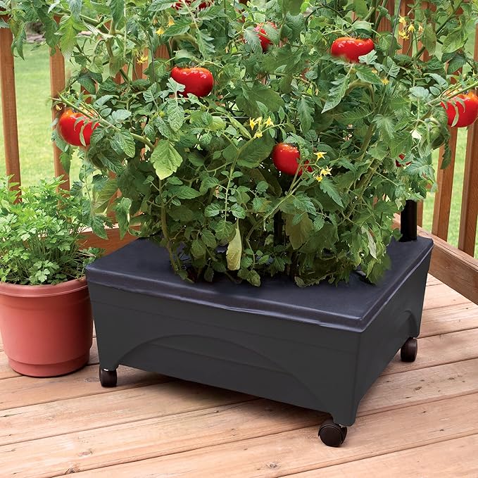 Emsco Group City Picker Raised Bed Grow Box – Self Watering and Improved Aeration – Mobile Unit with Casters