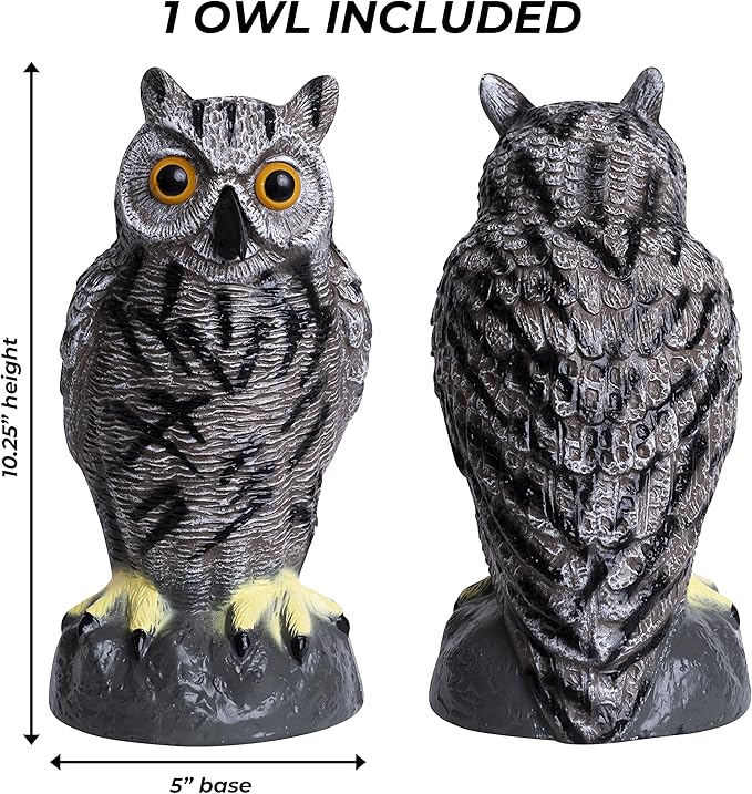 Galashield Owl Decoy to Scare Birds Away | Plastic Owls to Scare Birds Away | Owl Statue for Garden & Outdoors