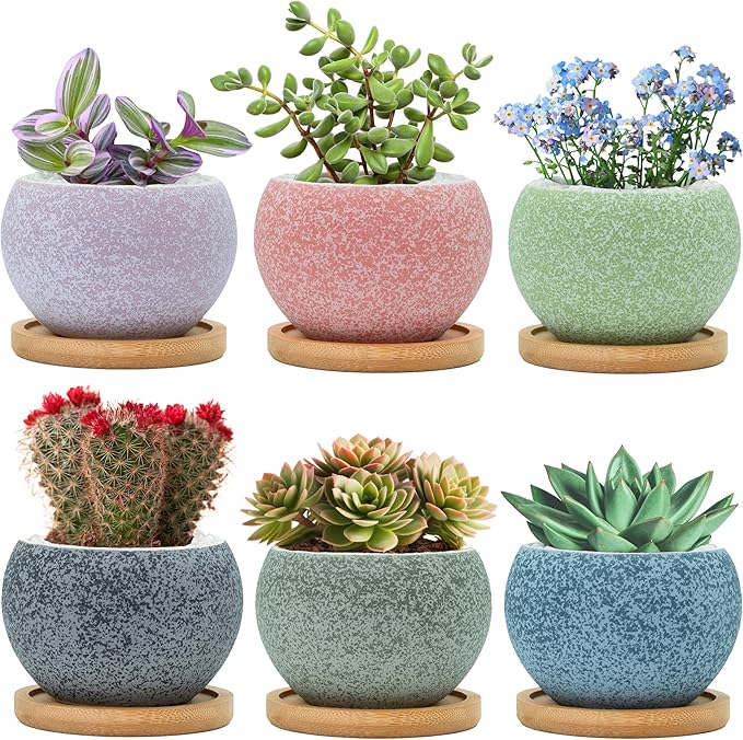 3 inch Ceramic pots for Plants, Small Succulent Pots Set with Drainage, 6 Pack Flower Pot for Indoor Plant, Decorative Planters for Little or Mini Cactus