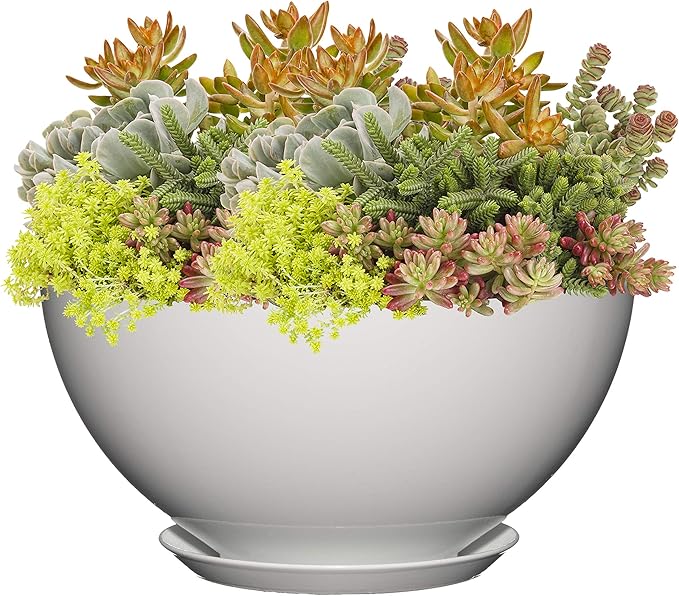 Classic Home and Garden Premiere Collection Planter, Rosie 10", Stark White