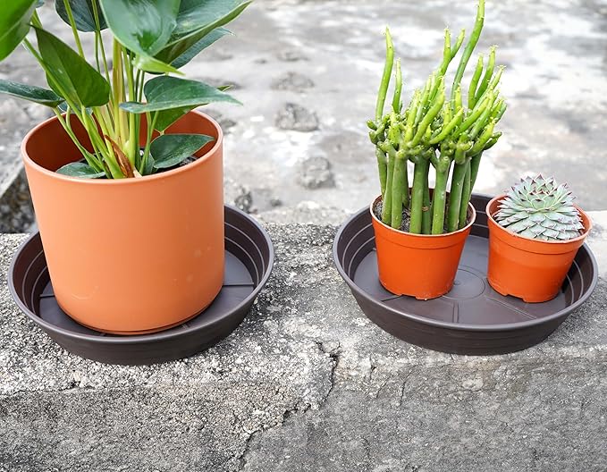 Plant Saucer 14 Inch 2 Pack 6 8 10 12 14 16 18 20 25, Plastic Plant Trays for Pots，Extra-Deep Plant Water Dray Tray, Bird Bath Bowl, Heavy Flower Plant Saucers Indoors and Outdoor No Holes
