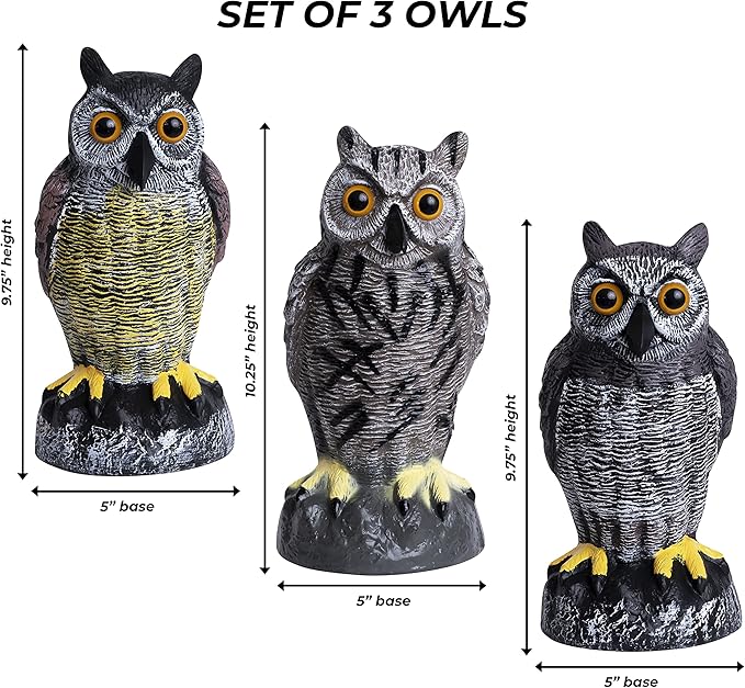 Galashield Owl Decoys to Scare Birds Away | Plastic Owls to Scare Birds Away | Owl Statue for Garden & Outdoors [Set of 3]