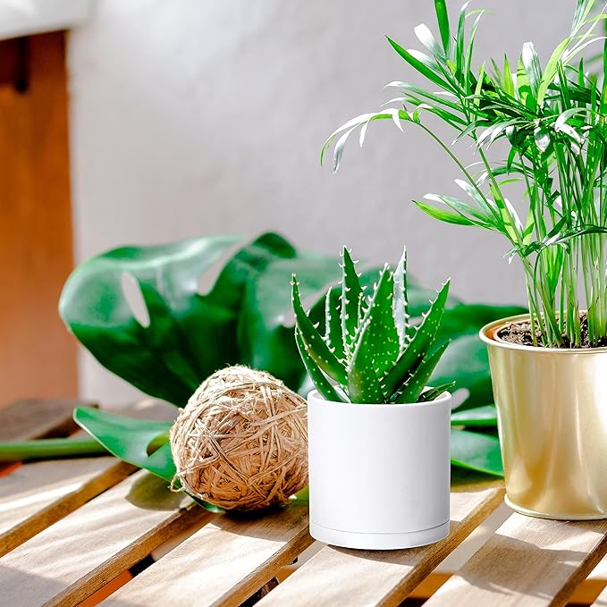 D'vine Dev 2 Pack 4 Inch Modern Plastic Plant Pots, Small Garden Planters for Plant with Drainage Holes and Saucers, White Color, 74-Z-E-1