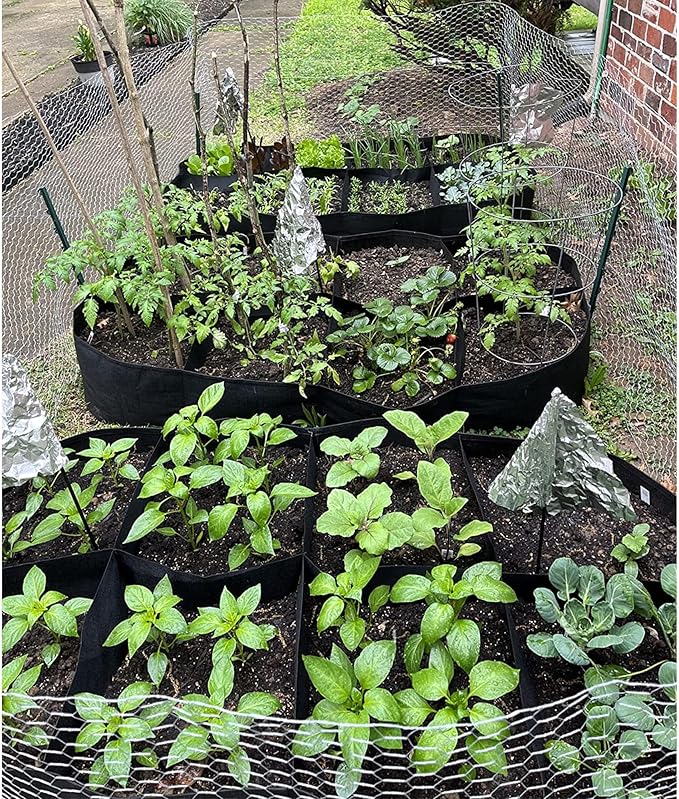 CJGQ Fabric Raised Garden Bed 6x3x1ft Garden Grow Bed Bags for Growing Herbs, Flowers and Vegetables 128 Gallon