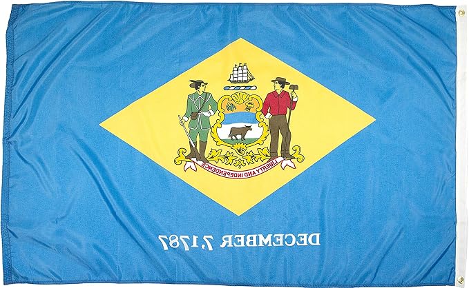 FlagSource Delaware Nylon State Flag, Made in the USA, 3x5'