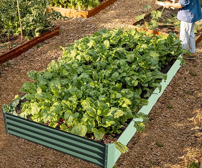 Domi Galvanized Raised Garden Bed, Outdoor Planter Garden Boxes Large Metal Planter Box for Gardening Vegetables Fruits Flowers, Green (8x4x1ft)