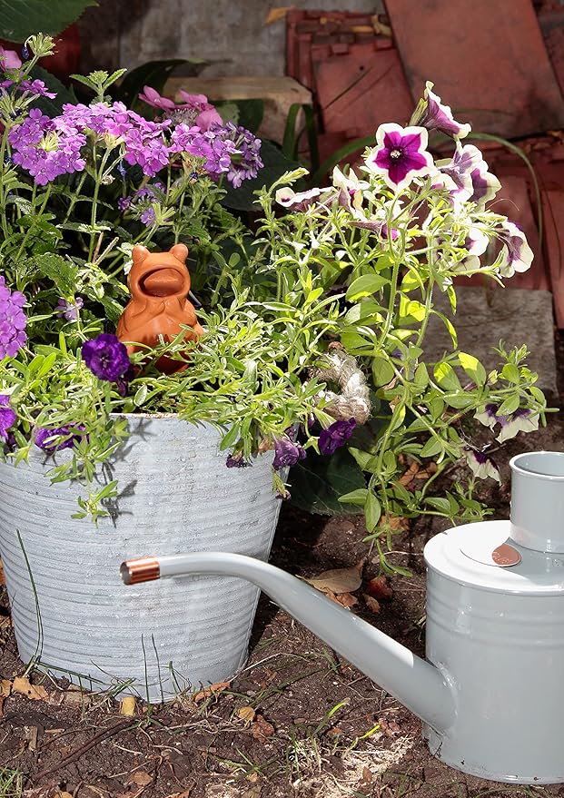 Terracotta Plant Self Watering Spikes - Set of 3 Terracotta Self Watering Bulbs, Self Watering Stakes, Self Watering Globes for Pot Plants (Frogs Plain, Large)