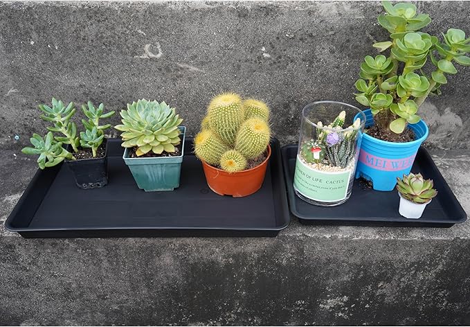 Plant Growing Trays 2 Pack, Plant Tray, 14.5"x11", Heavy Sturdy Plastic Plants Saucer, Seedling Starter Trays, Seed Starter Growing Tray (Black)