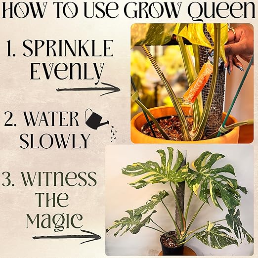 All-in-One Complete Organic Plant Food, Indoor Plant Fertilizer, for Houseplants, Organic Fertilizer for Vegetable Gardens, 11 Formulated Single Servings Feeds 22 gal Fast and Slow Release