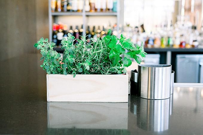 Wooden Planter Box with Handle, Rose Wood, Plastic Liner l Garden Decor l Restaurant and Wedding Decorations l Wedding Bouquets, Table Centerpiece, 12 x 4 Inches, (12x4 w Handle Set of 4, Rose Wood)