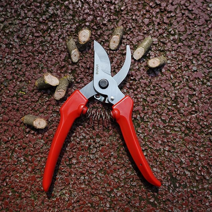 BUGUI Pruning Shears Garden Shears - Premium Alloy Steel Bypass Pruner, Precision-ground Blades, Heavy Duty Gardening Tools, 7" (H201)