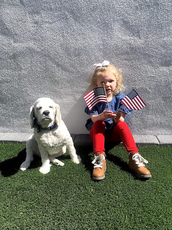 American Flags on Stick - Handheld Spearhead US Flag for 4th of July, Memorial Day Event Decorations - Patriotic Decor for Indoors & Yard - Wooden Stick, Cotton Fabric - (4"X6" - 50 Pack)